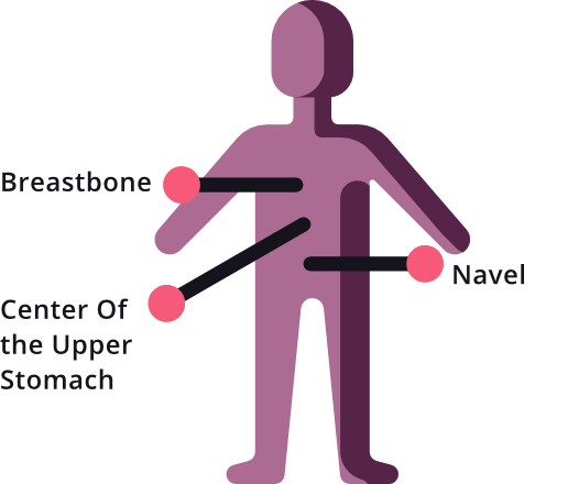 Breastbone image